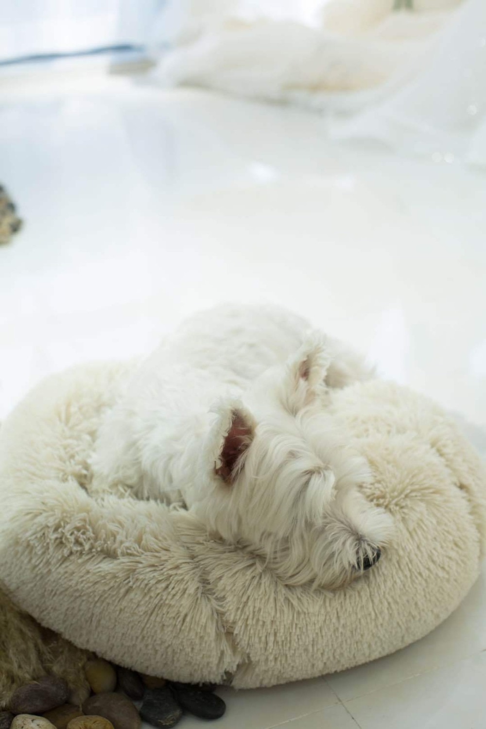 Super Soft Pet Bed Kennel Dog Round Cat Winter Warm Sleeping Bag Long Plush Puppy Cushion Mat Dog House Velvet Mats Sofa For Dog