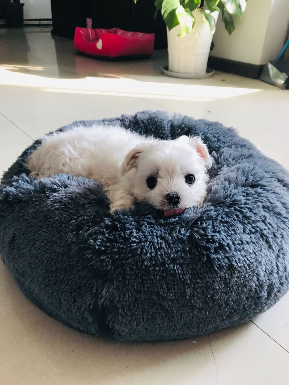 Super Soft Pet Bed Kennel Dog Round Cat Winter Warm Sleeping Bag Long Plush Puppy Cushion Mat Dog House Velvet Mats Sofa For Dog