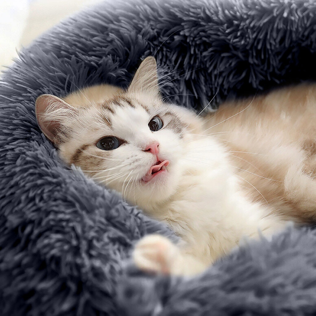 Dog Round Cat Winter Warm Sleeping Bag Long Plush Soft Pet Bed Calming Bed Soft Dog long plush Kennel Dog House Washable Basket Dog Round Cat Winter Warm Sleeping Bag Long Plush Soft Pet Bed Calming Bed Soft Dog long plush Kennel Dog House Washable Basket